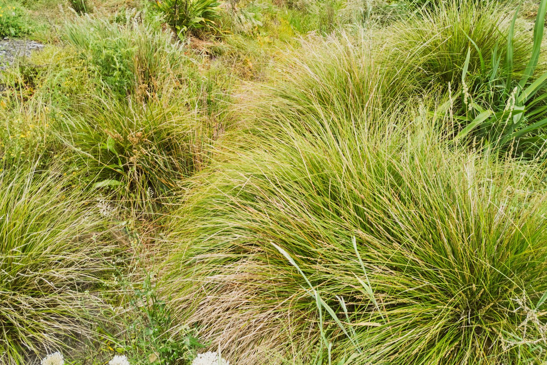 A Legacy for Future Generations