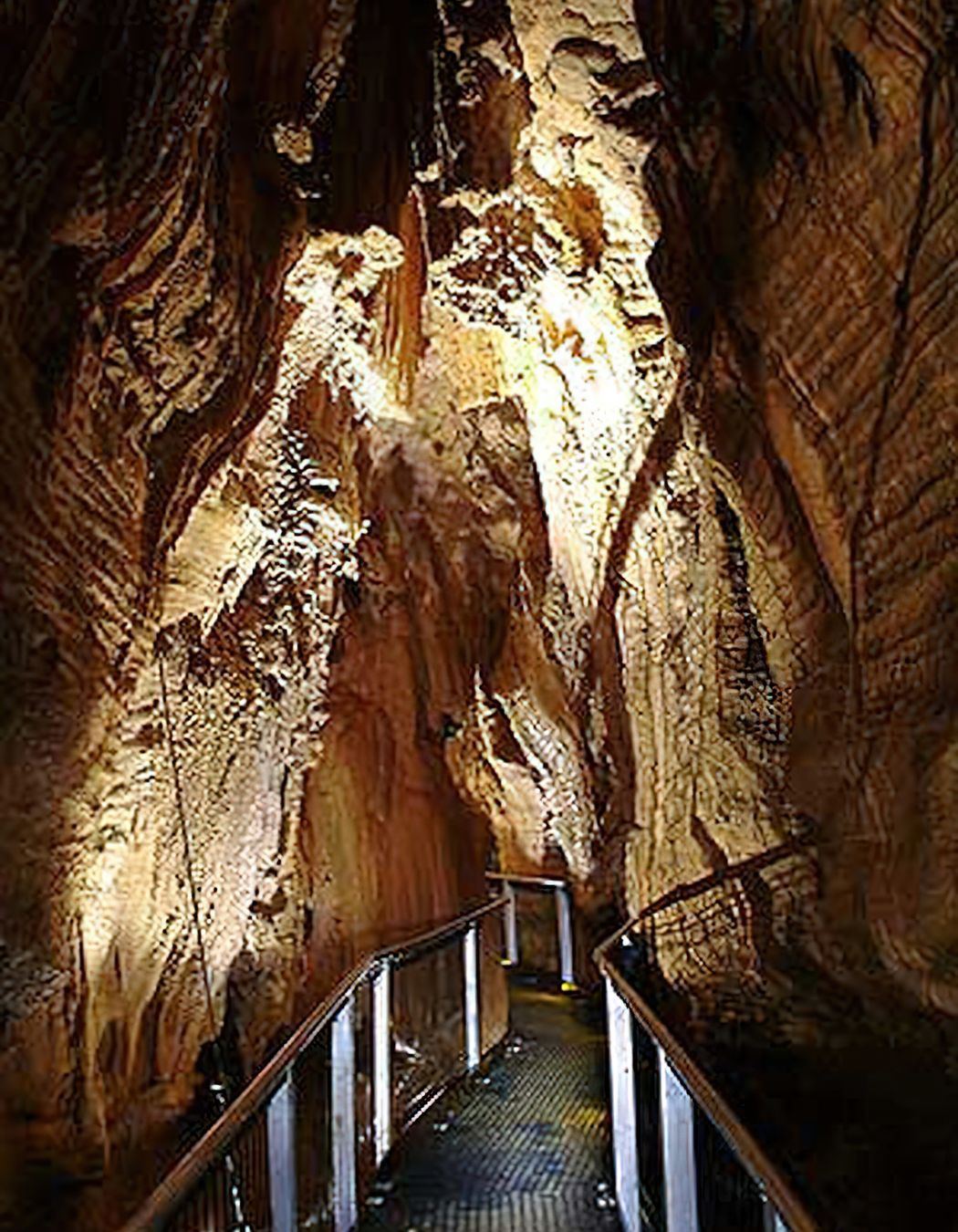Ruakuri Cave