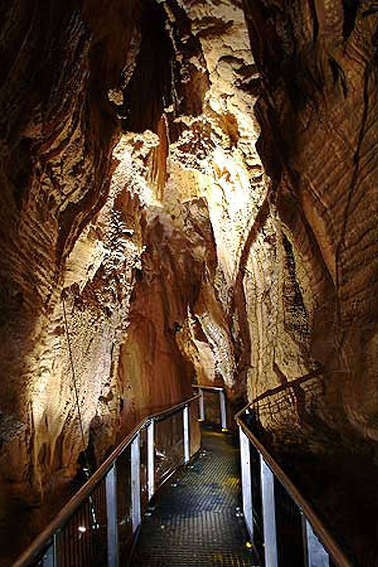 Ruakuri Cave