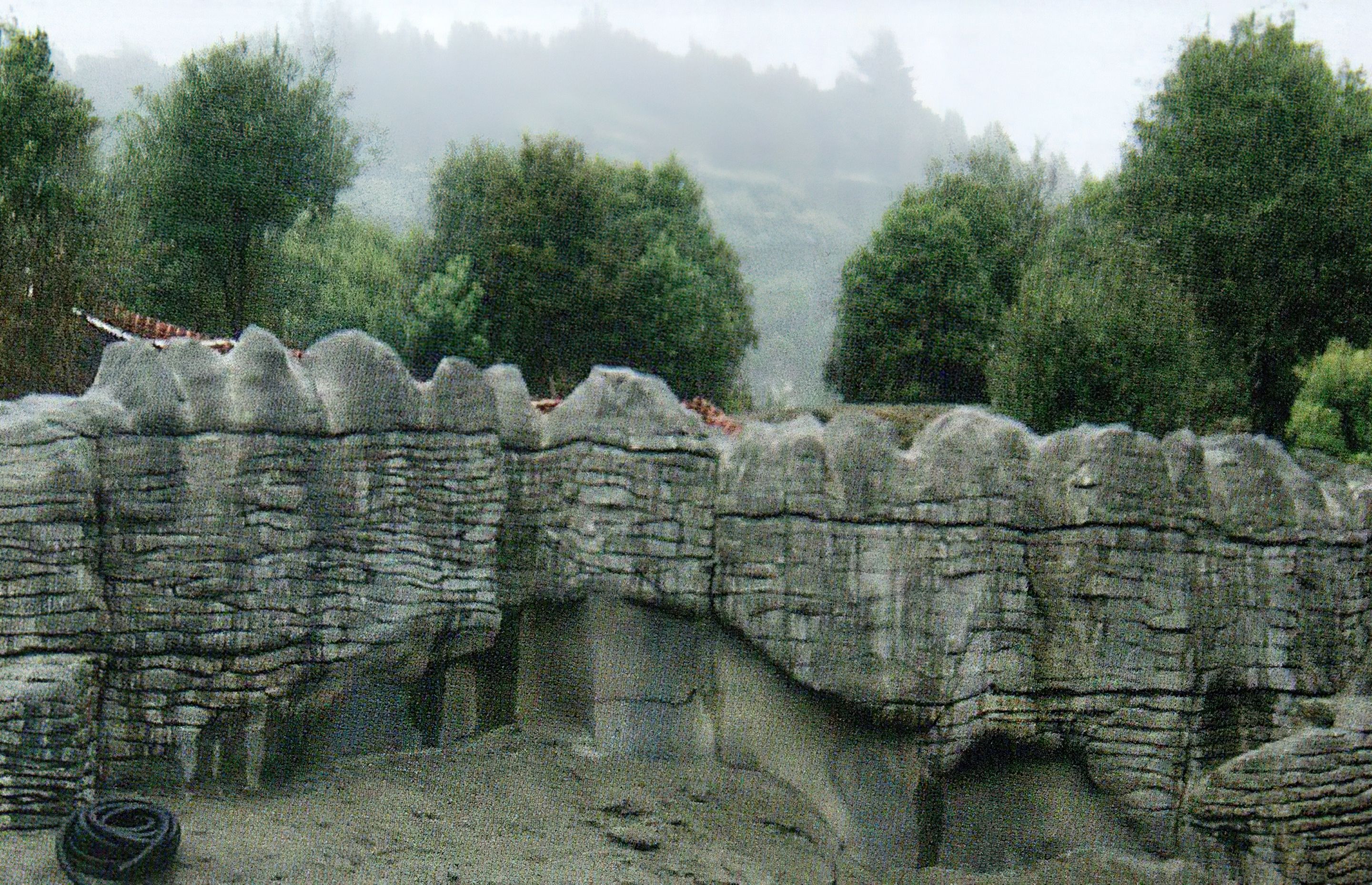 Ruakuri Cave