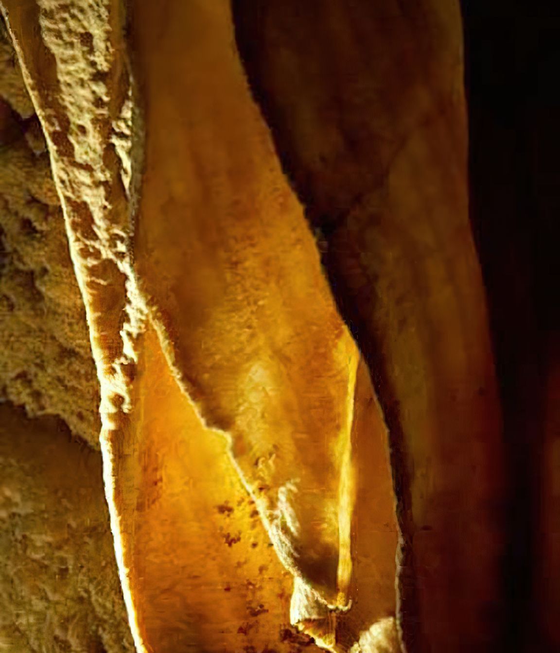Ruakuri Cave