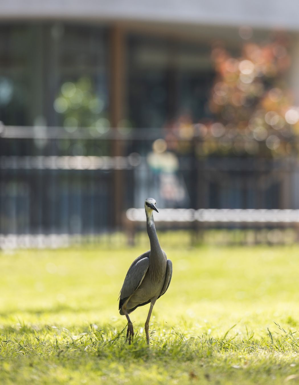 Photography: Chris Bryan