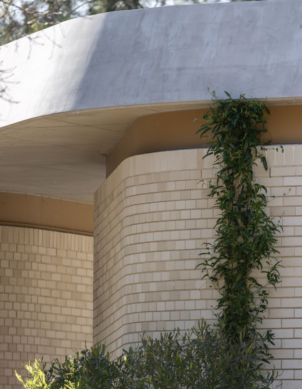 Photography: Chris Bryan