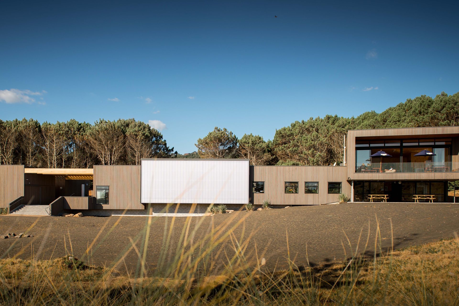 Project Timber: Muriwai SLC - January 2021