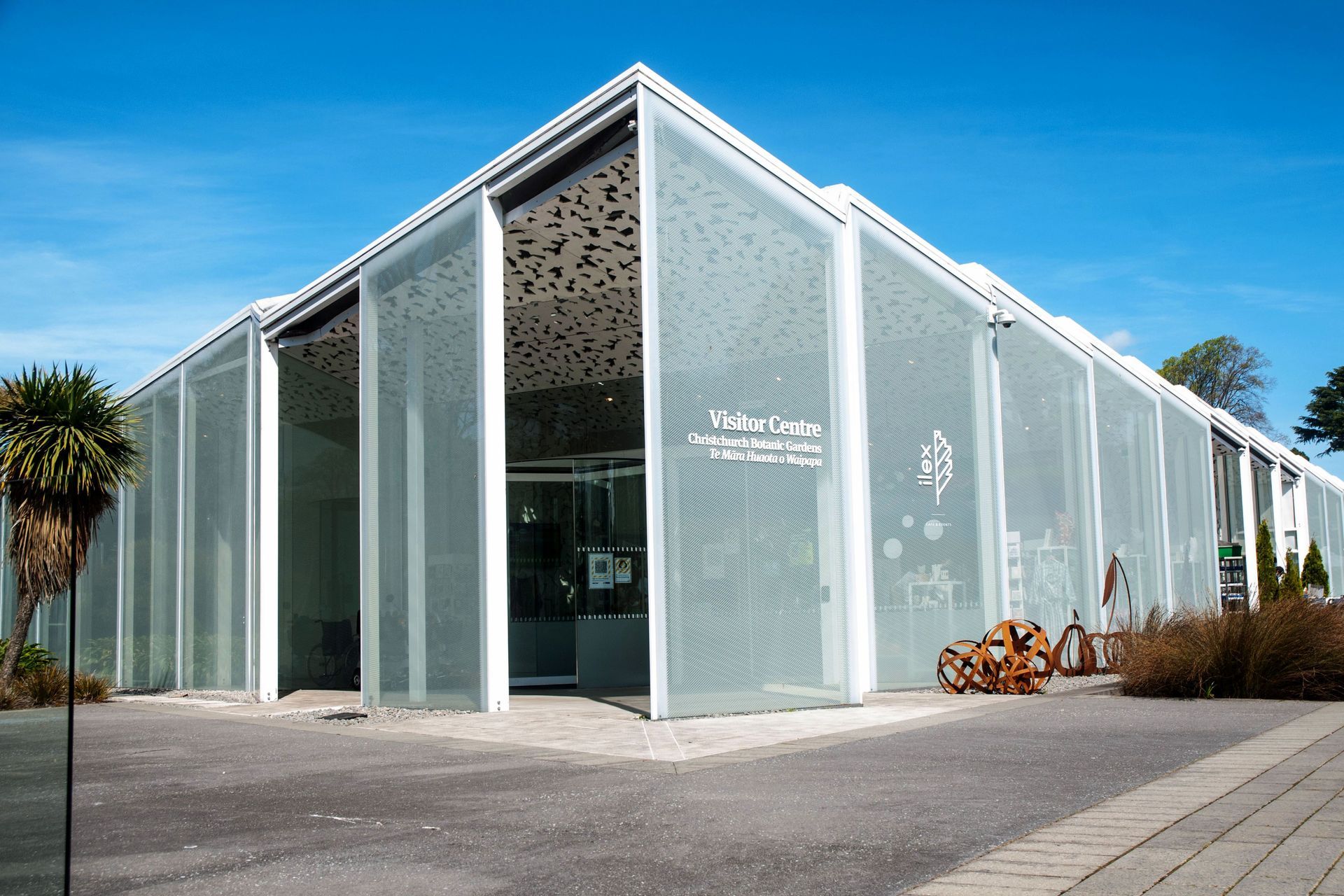 ilex - Botanical Gardens Christchurch