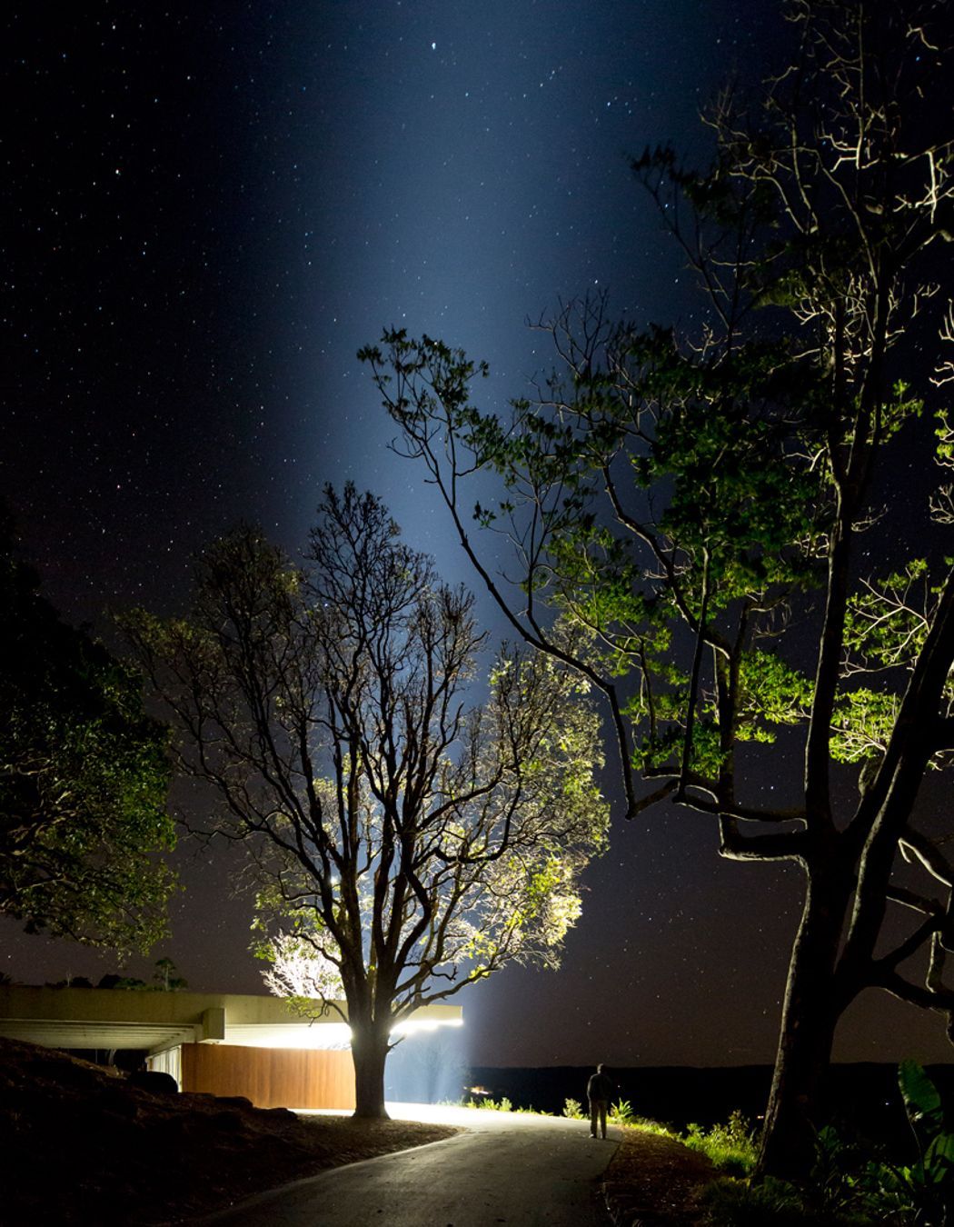 Photography: Brett Boardman