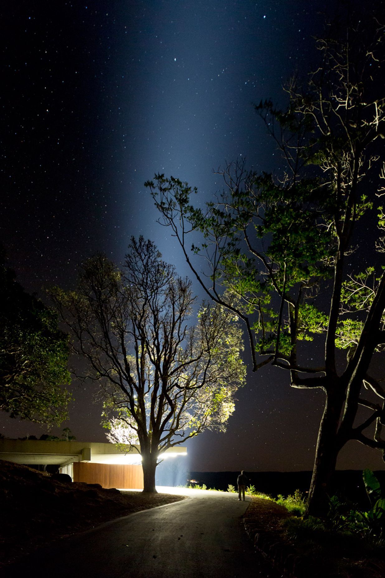 Photography: Brett Boardman
