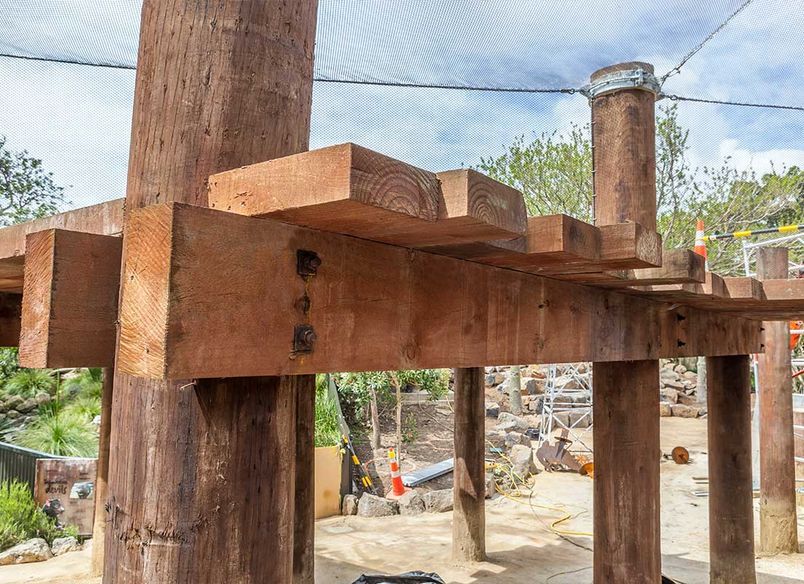 Auckland Zoo Redevelopment