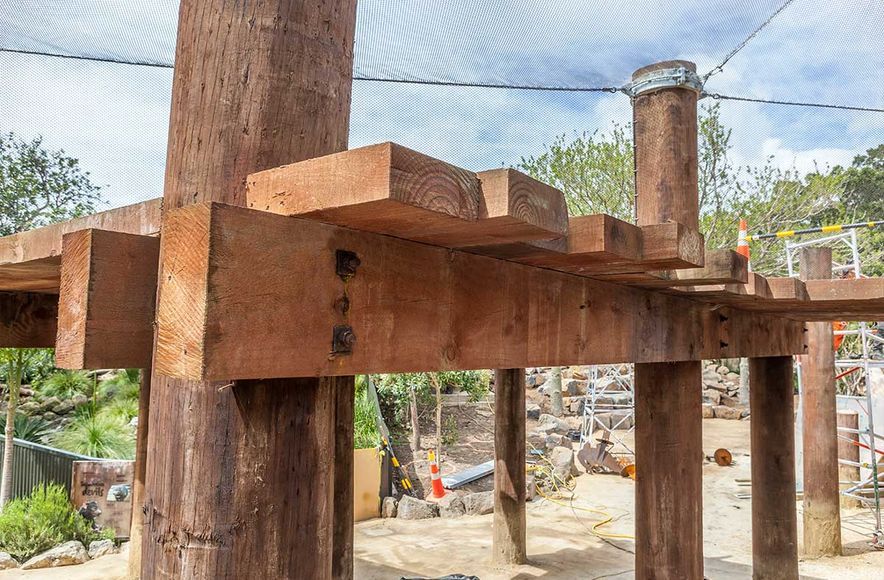 Auckland Zoo Redevelopment
