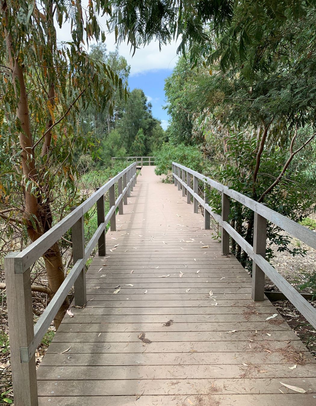 Namatjira Park, Melbourne