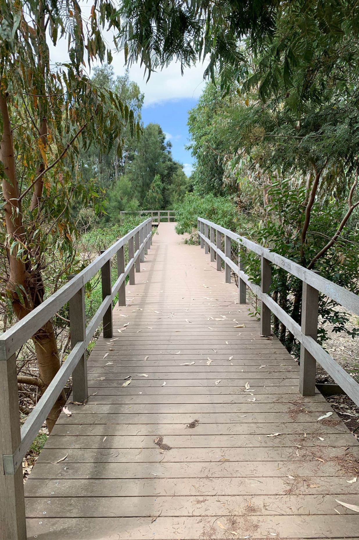 Namatjira Park, Melbourne