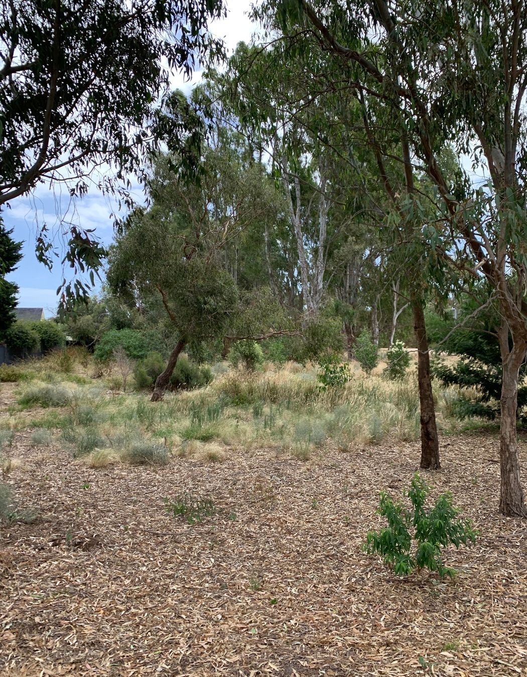 Namatjira Park, Melbourne