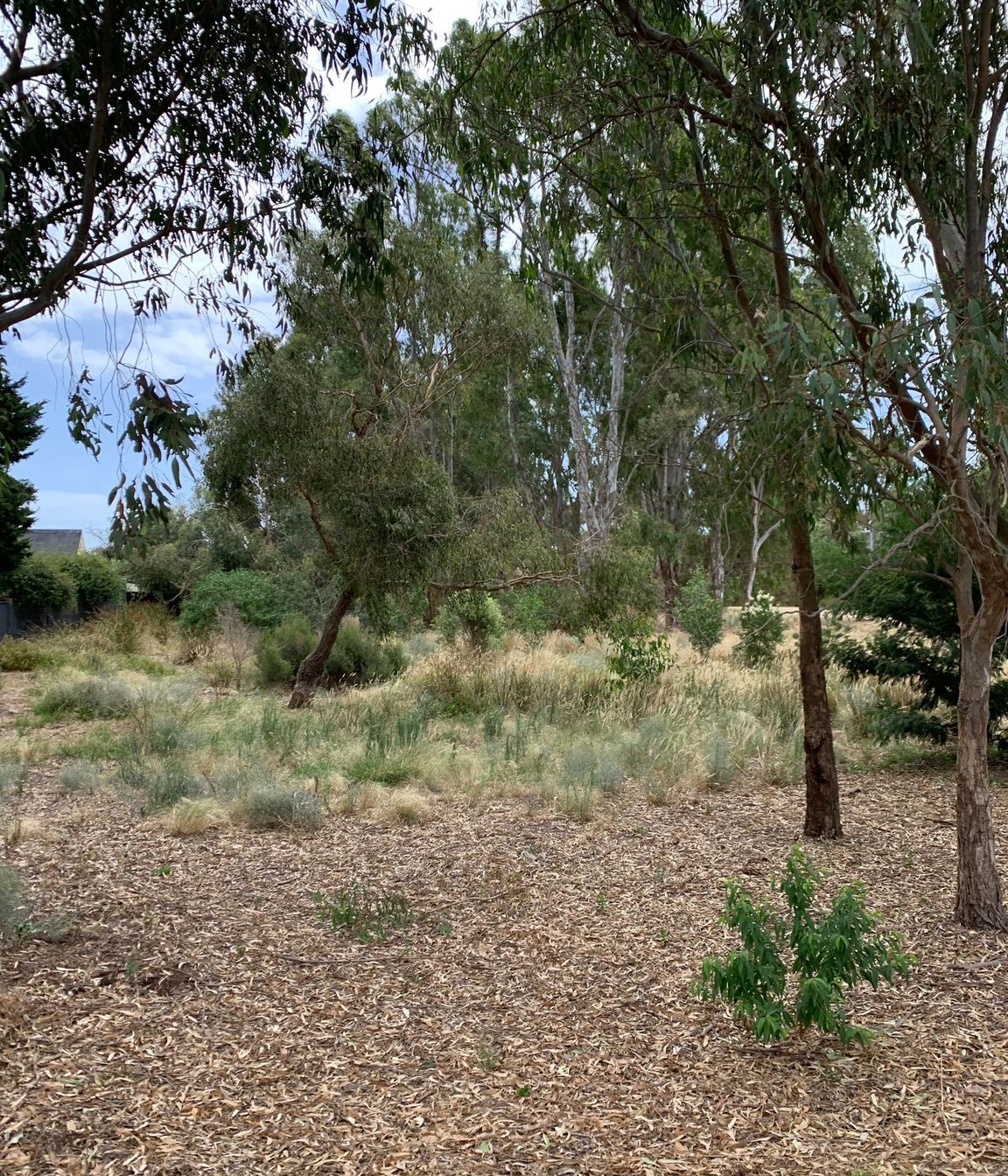 Namatjira Park, Melbourne