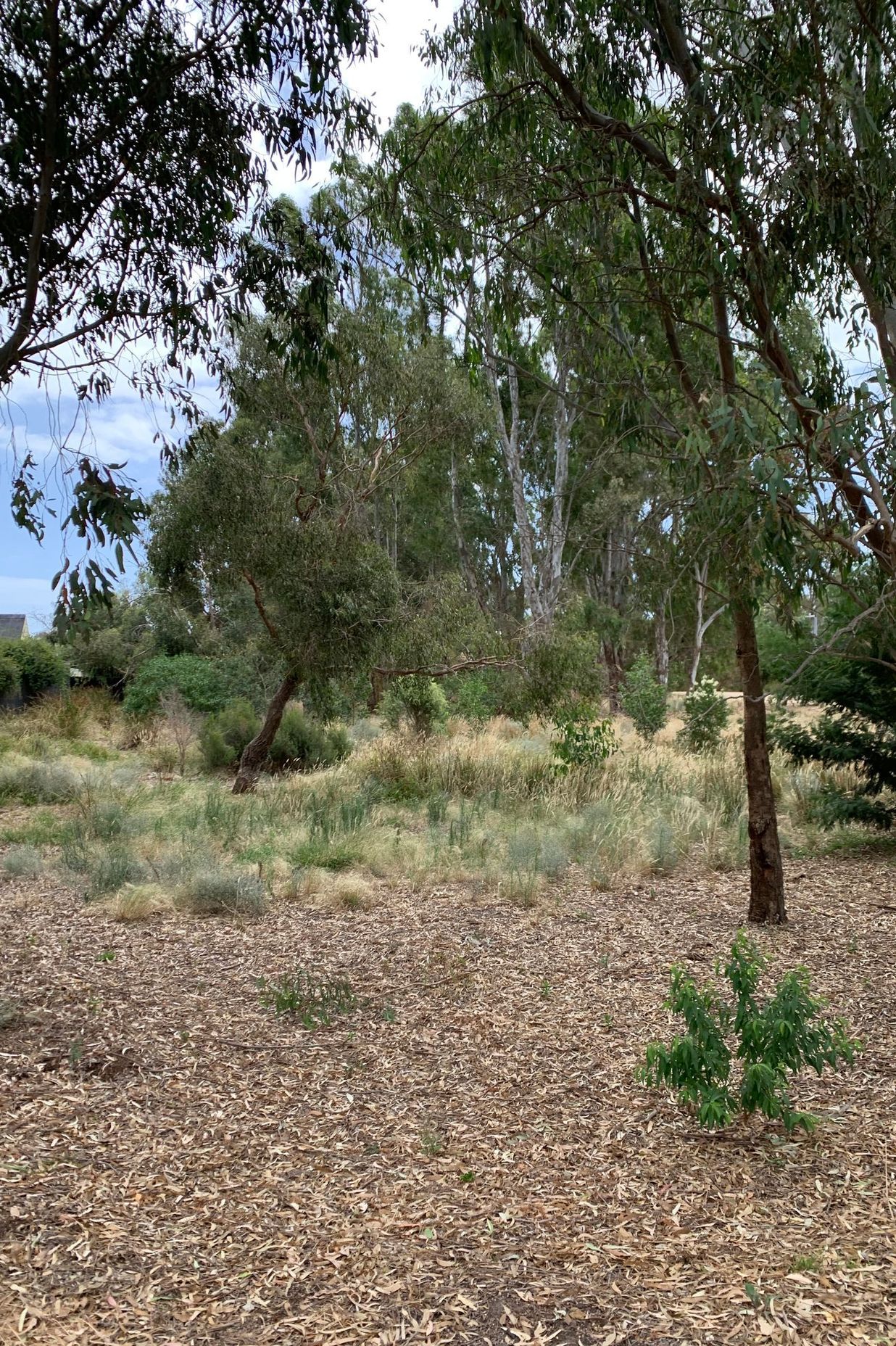 Namatjira Park, Melbourne