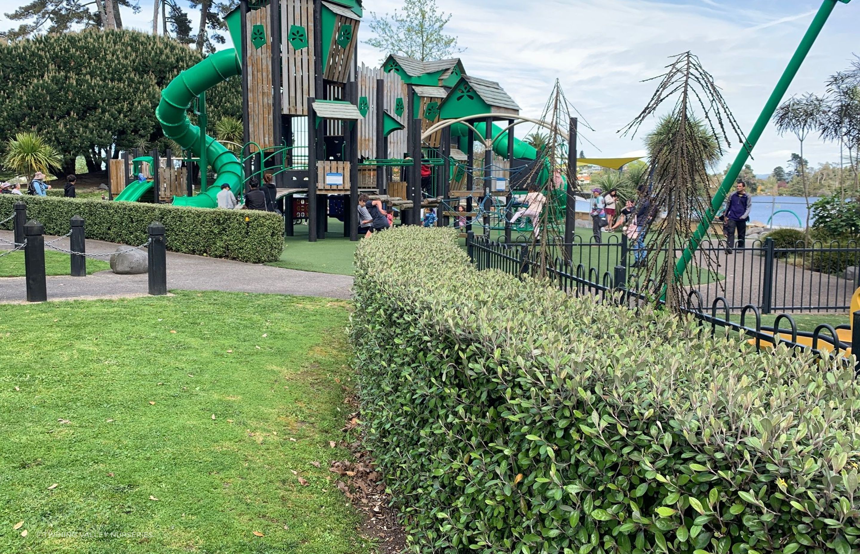 Living Walls™ instant hedges - a natural barrier for the older children, and softens the fence line of the toddler area.