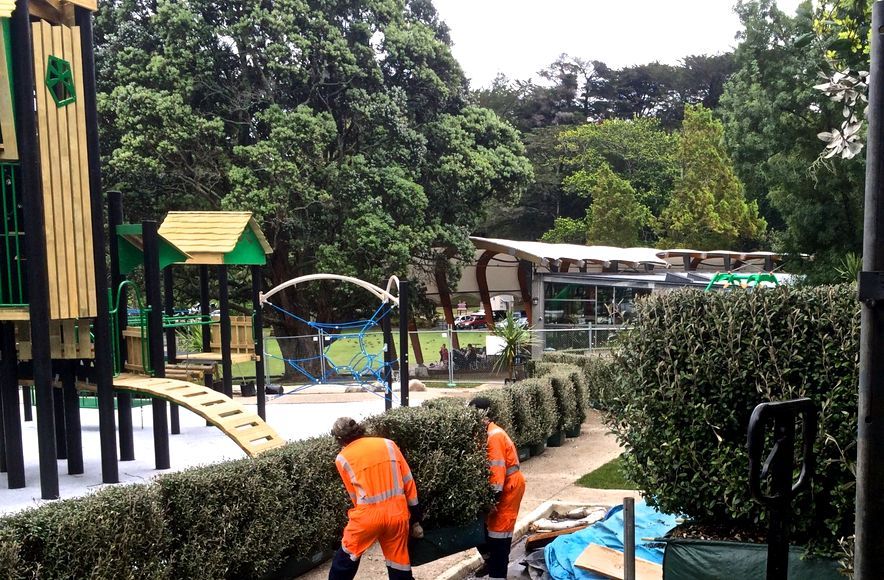 Instant Hedges for a Beautiful, Child-Friendly Barrier..