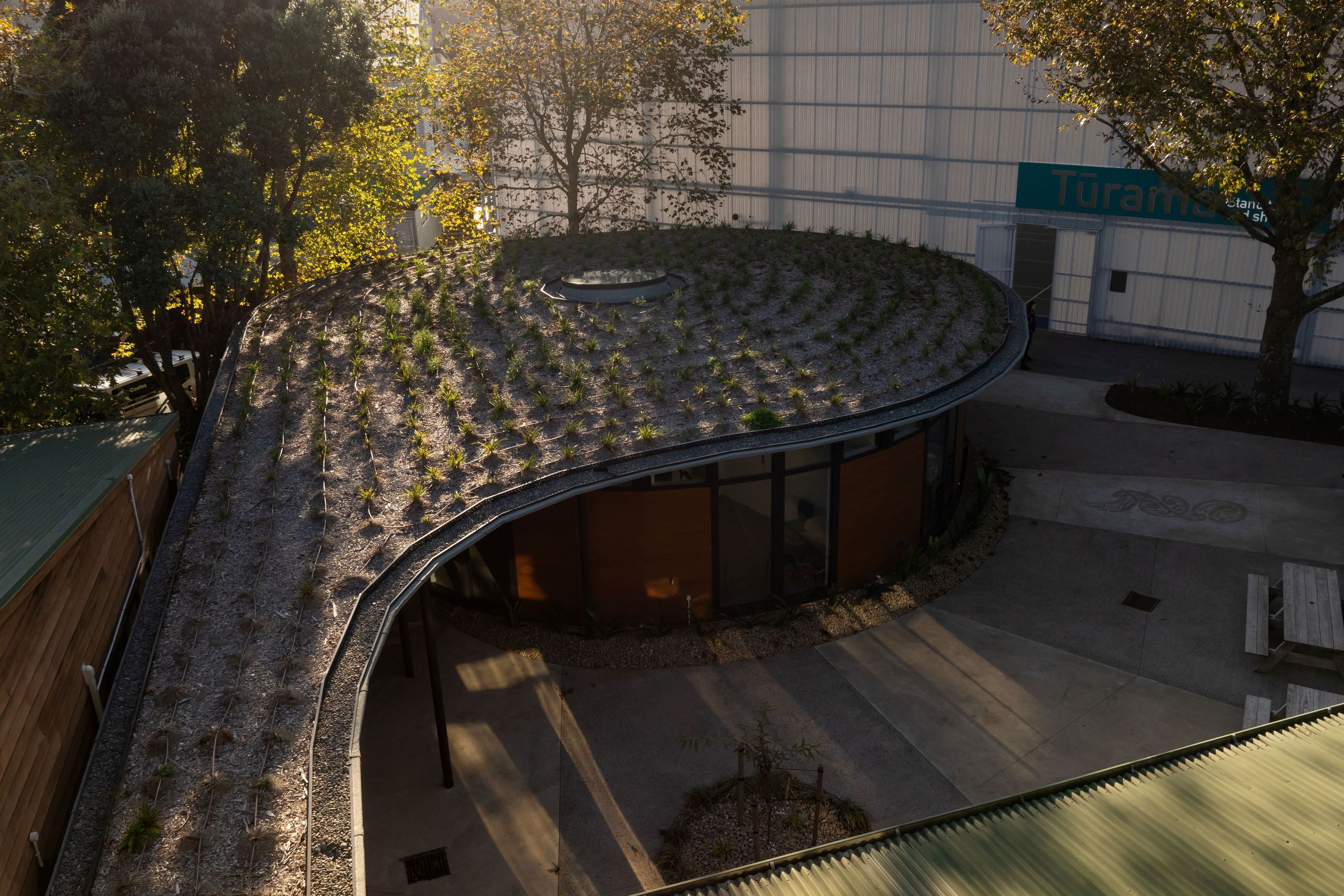 DJI0363-38.jpg