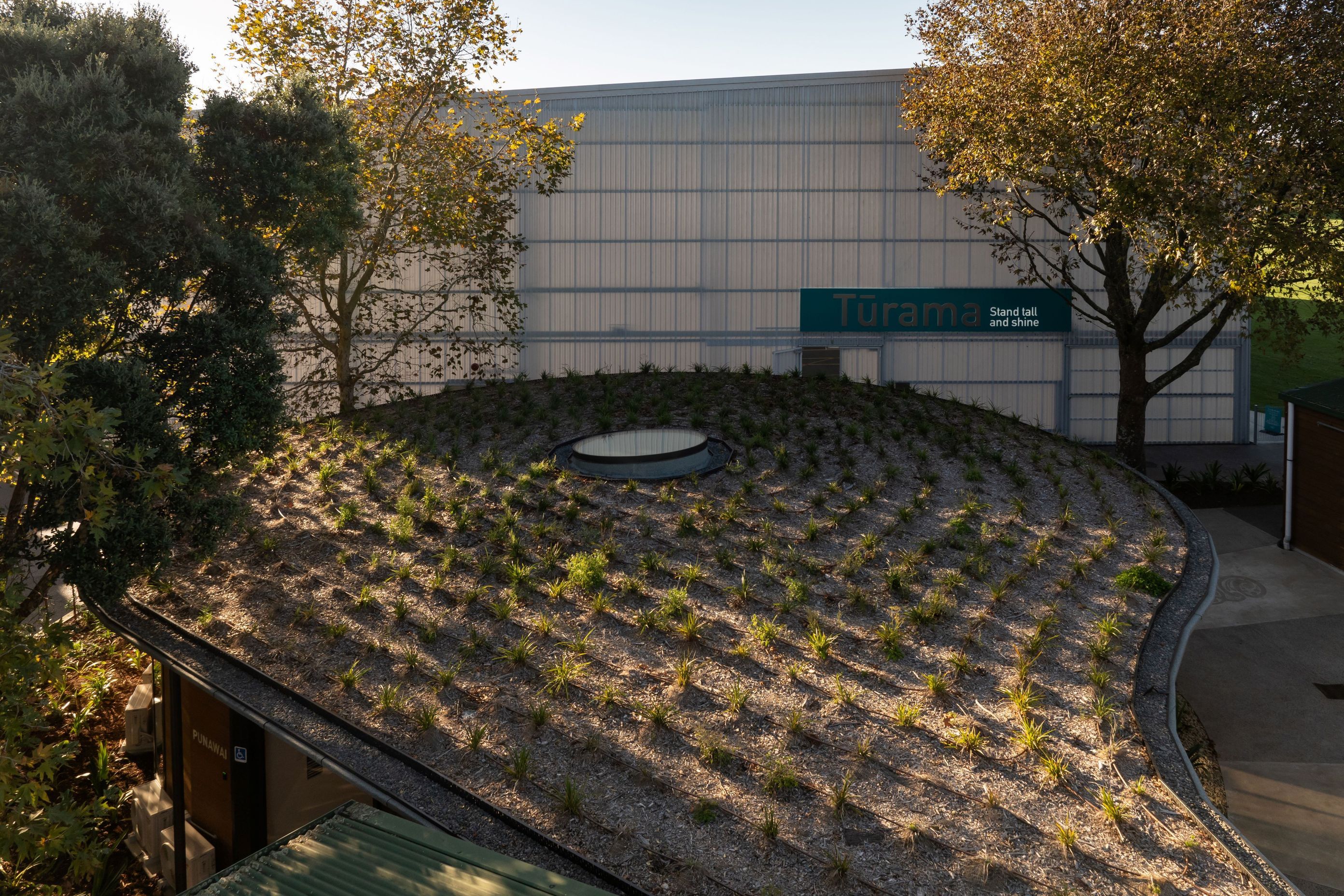 DJI0369-39.jpg
