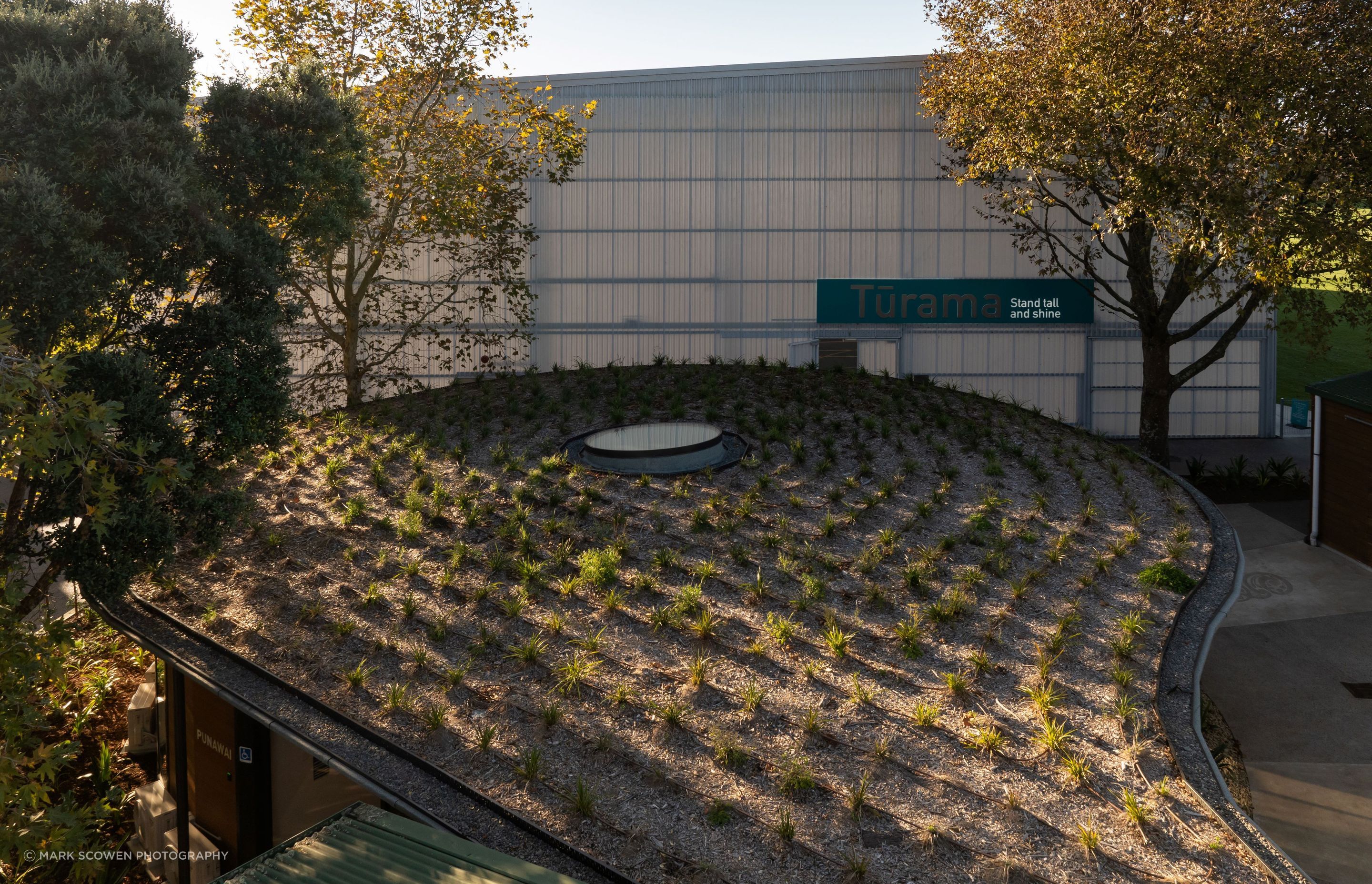 DJI0369-39.jpg