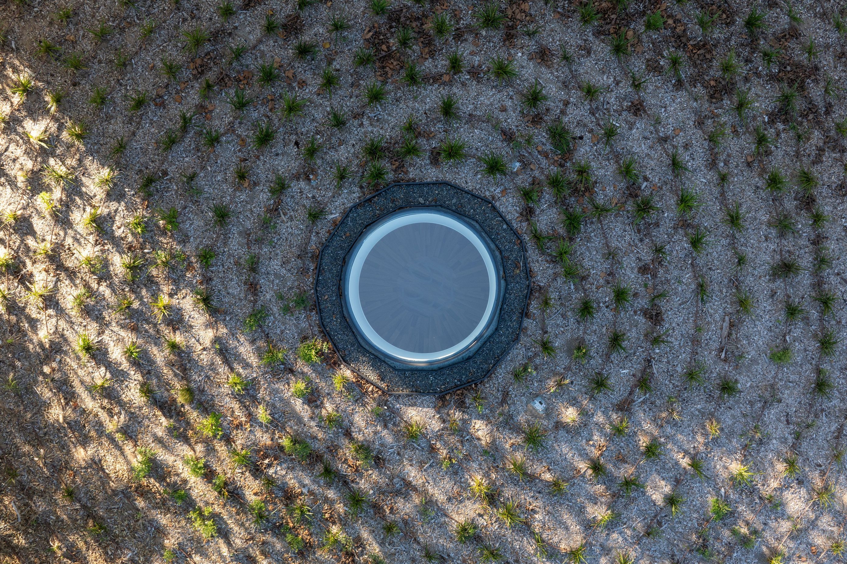 DJI0385-42.jpg