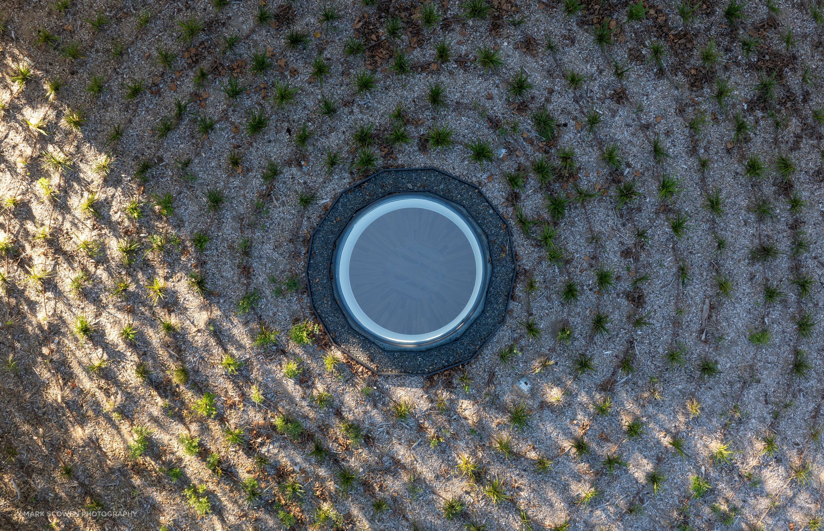 DJI0385-42.jpg