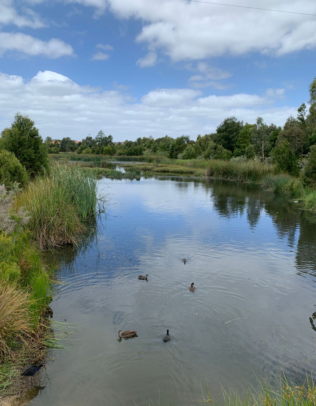 Namatjira Park, Melbourne