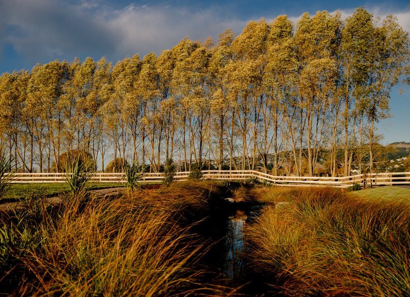 Milns Park Residential Subdivision