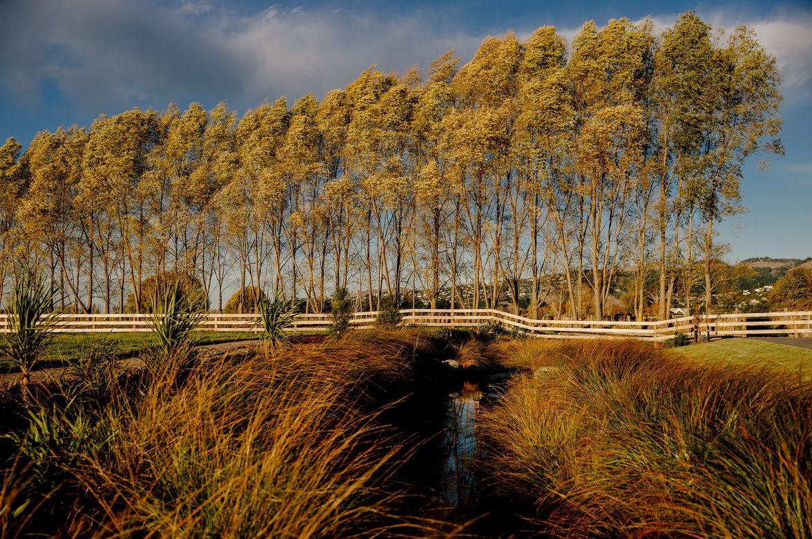 Milns Park Residential Subdivision