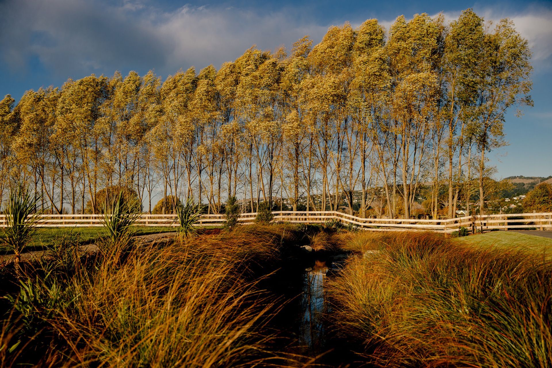 Milns Park Residential Subdivision