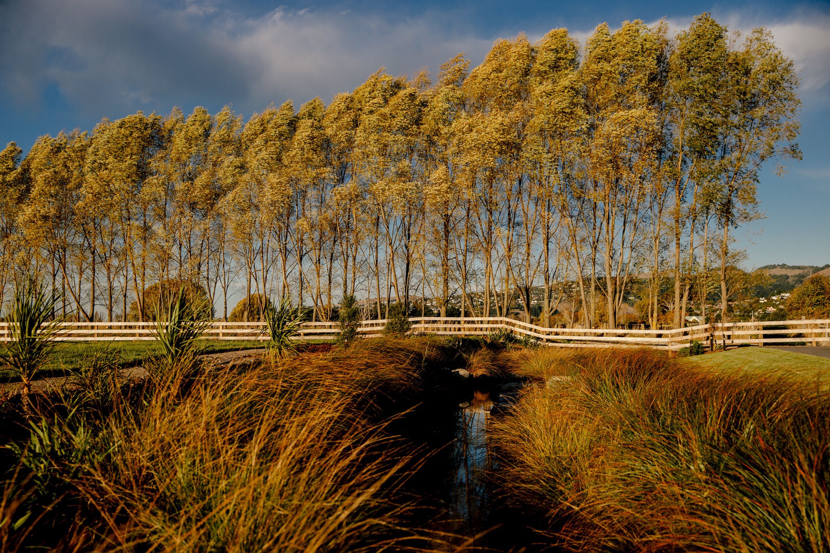 Milns Park Residential Subdivision