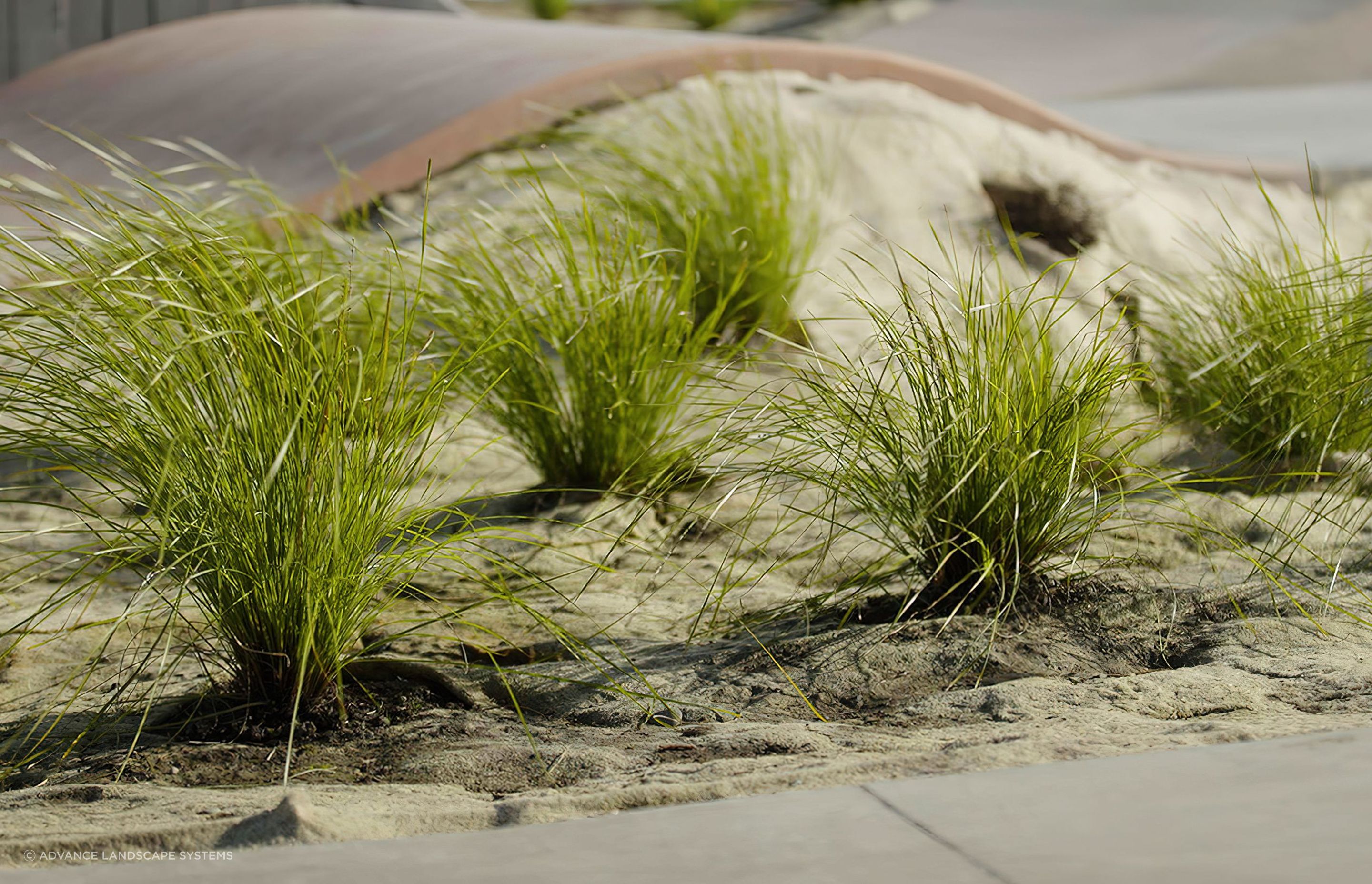 Farringdon-Pump-Park-Photos5-1.jpg