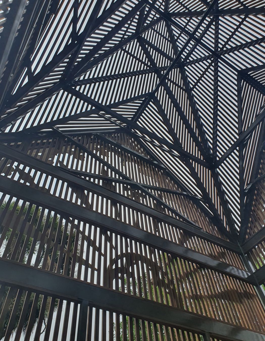 Fernery - Ballarat Botanic Gardens