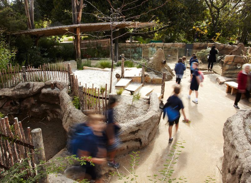 Melbourne Zoo 'Growing Wild' Precinct