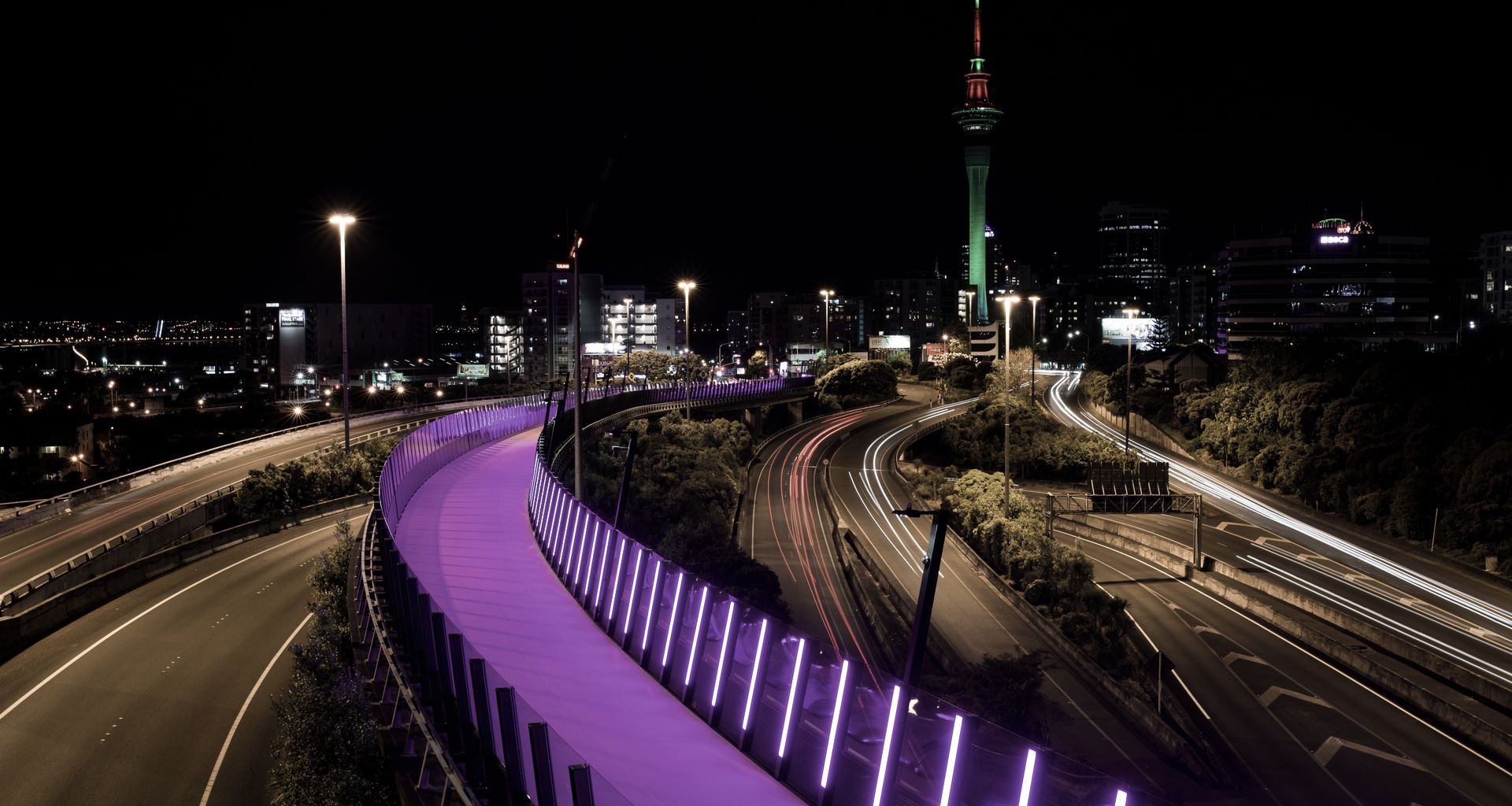 Te Ara | Whiti, The Lightpath banner