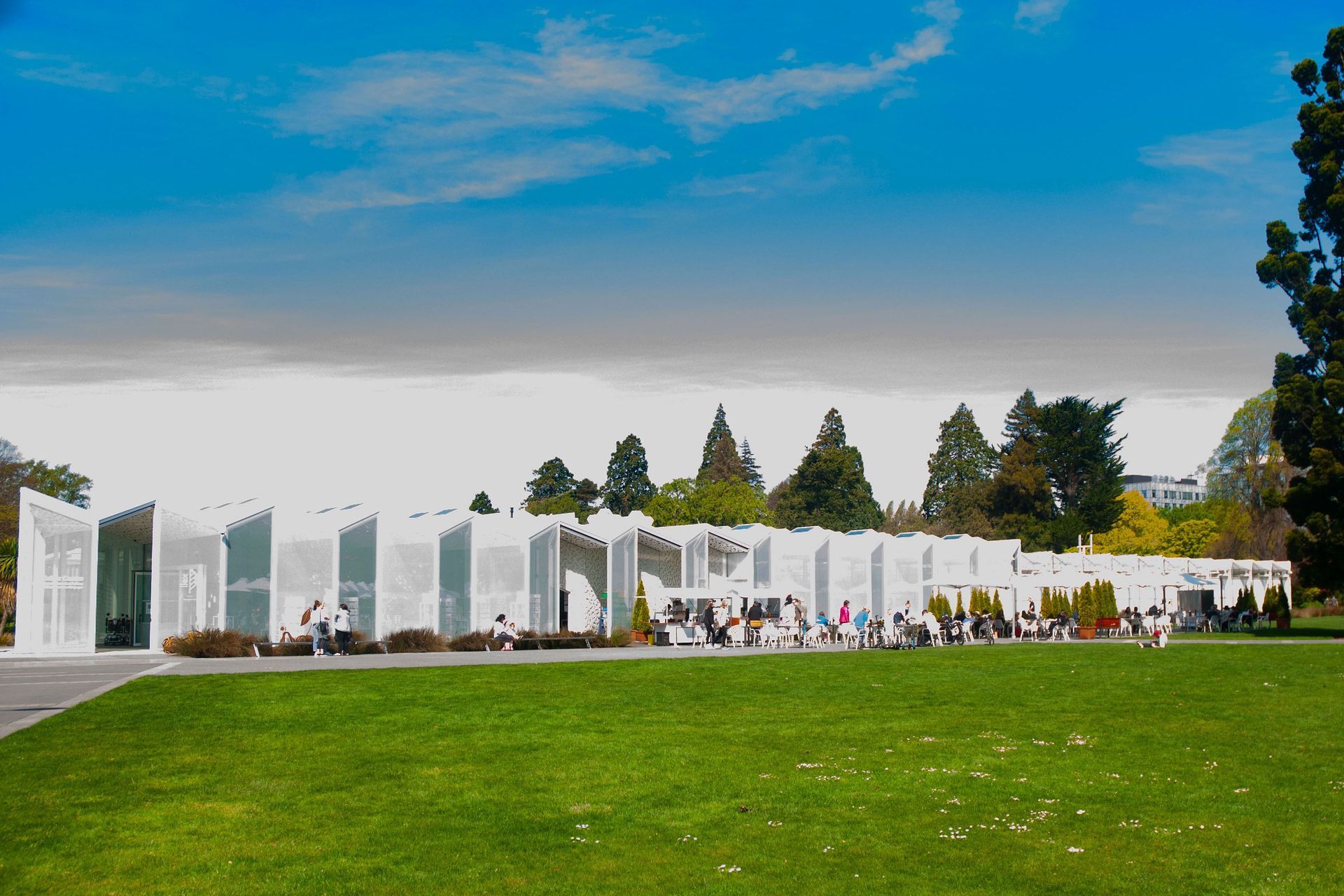 ilex - Botanical Gardens Christchurch