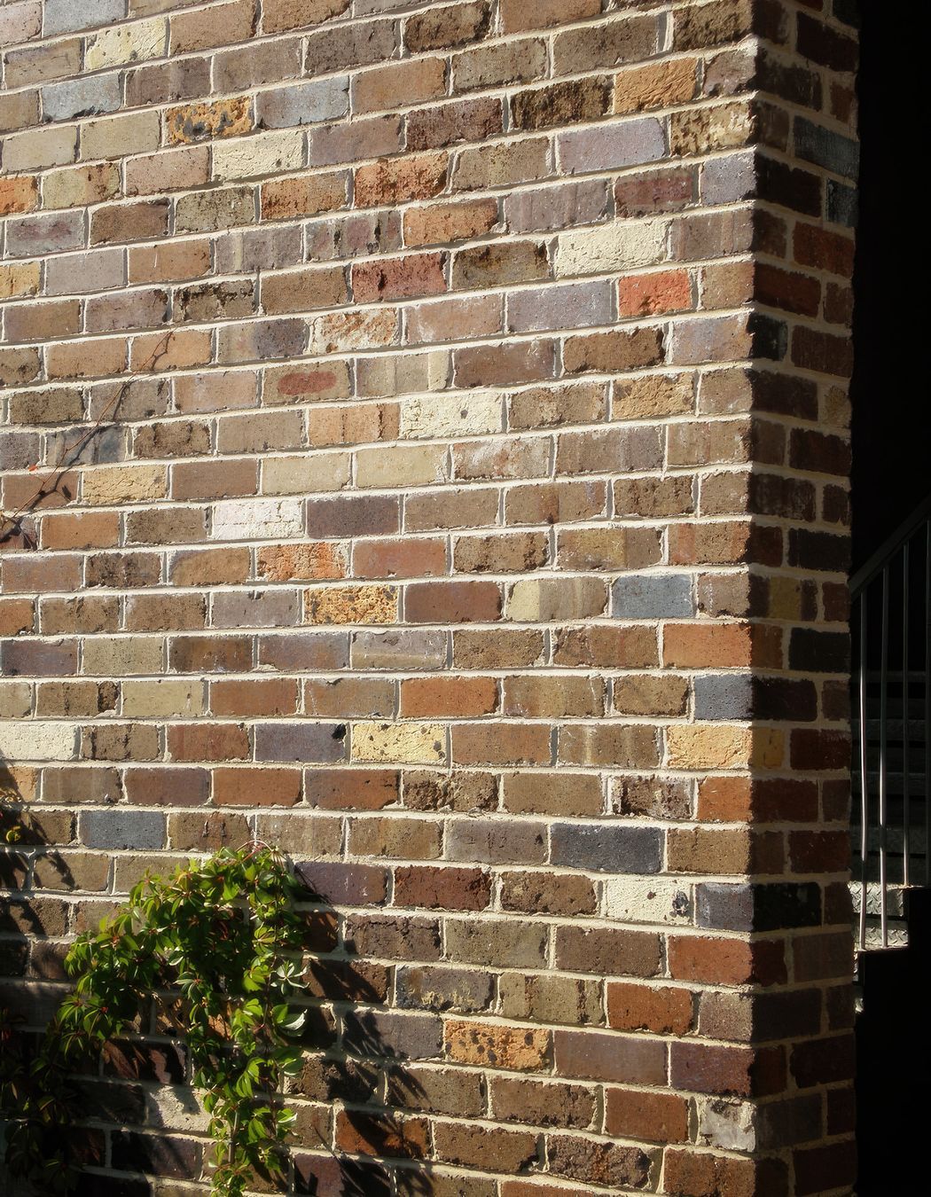 Photography Credit: The Brick Pit