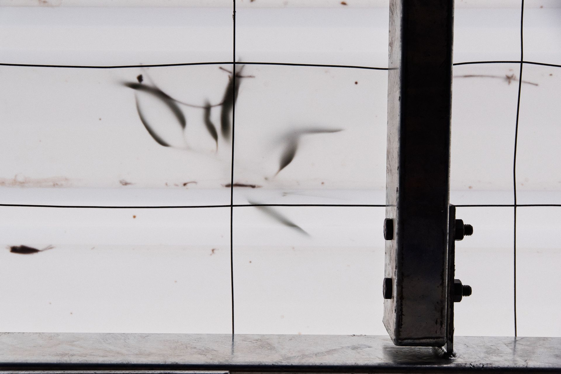 Bangerang Park Amenities