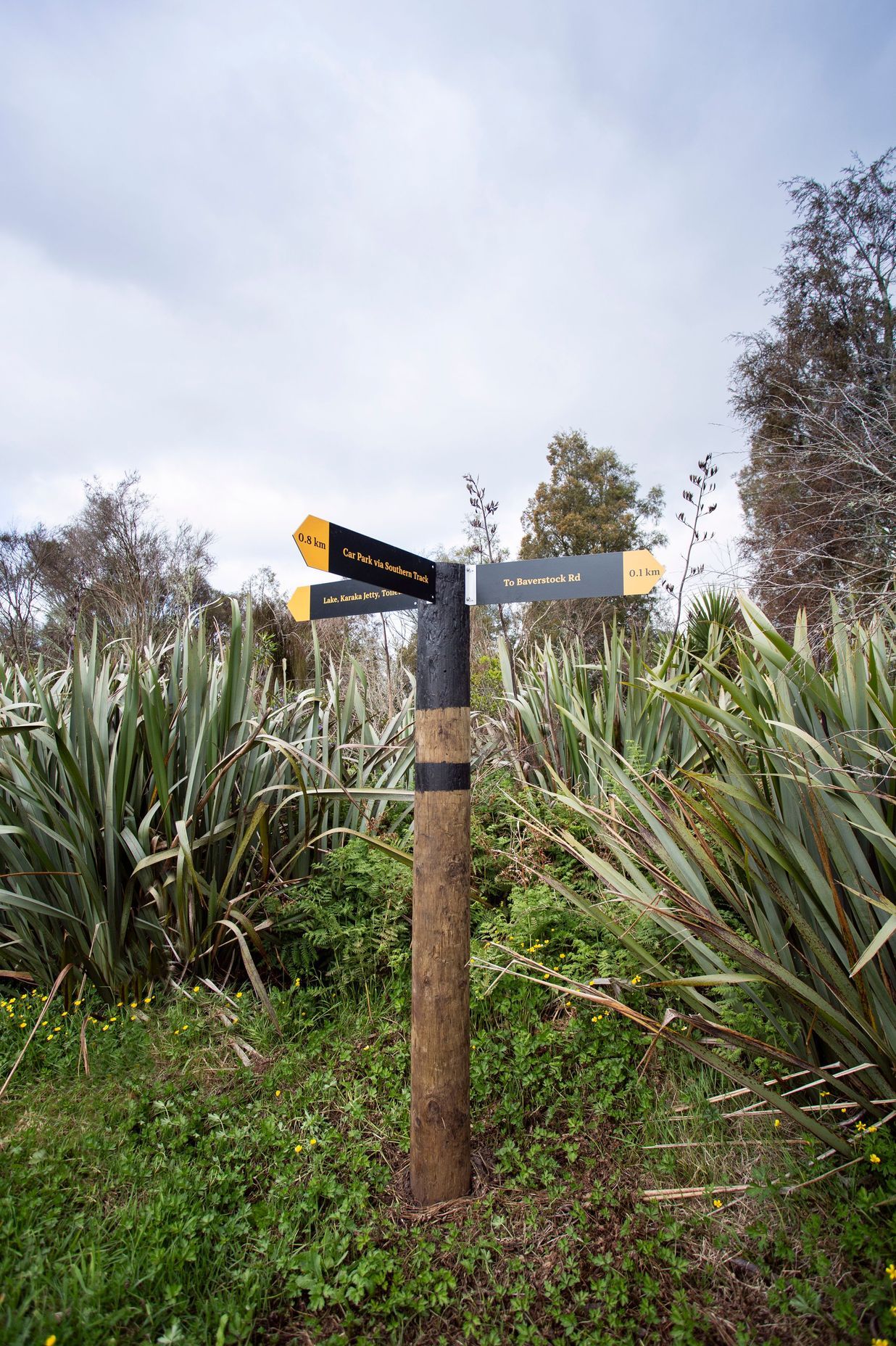 Waiwhakareke Natural Heritage Park