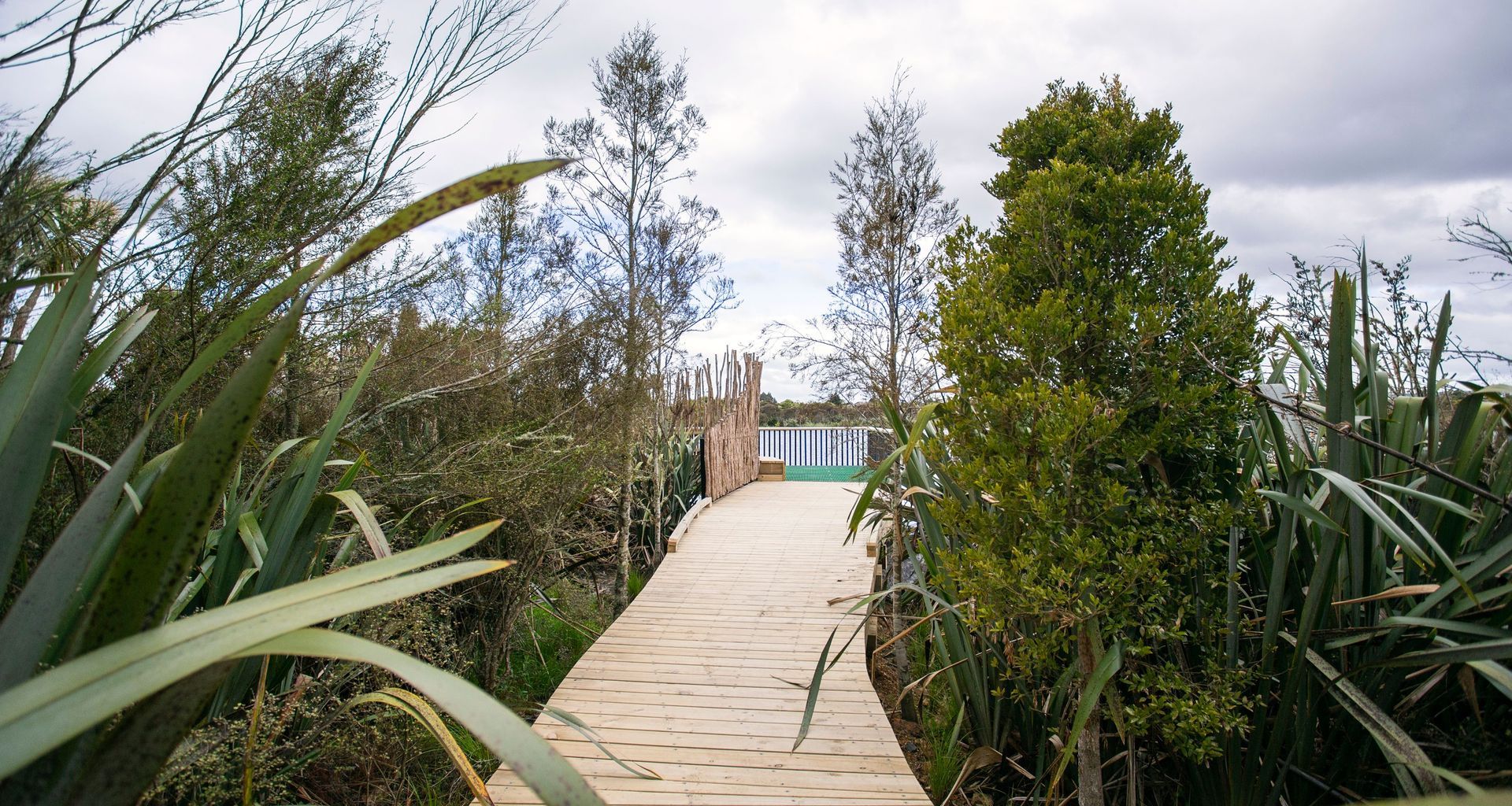 Waiwhakareke Natural Heritage Park banner