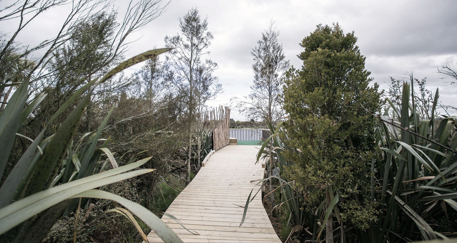 Waiwhakareke Natural Heritage Park banner