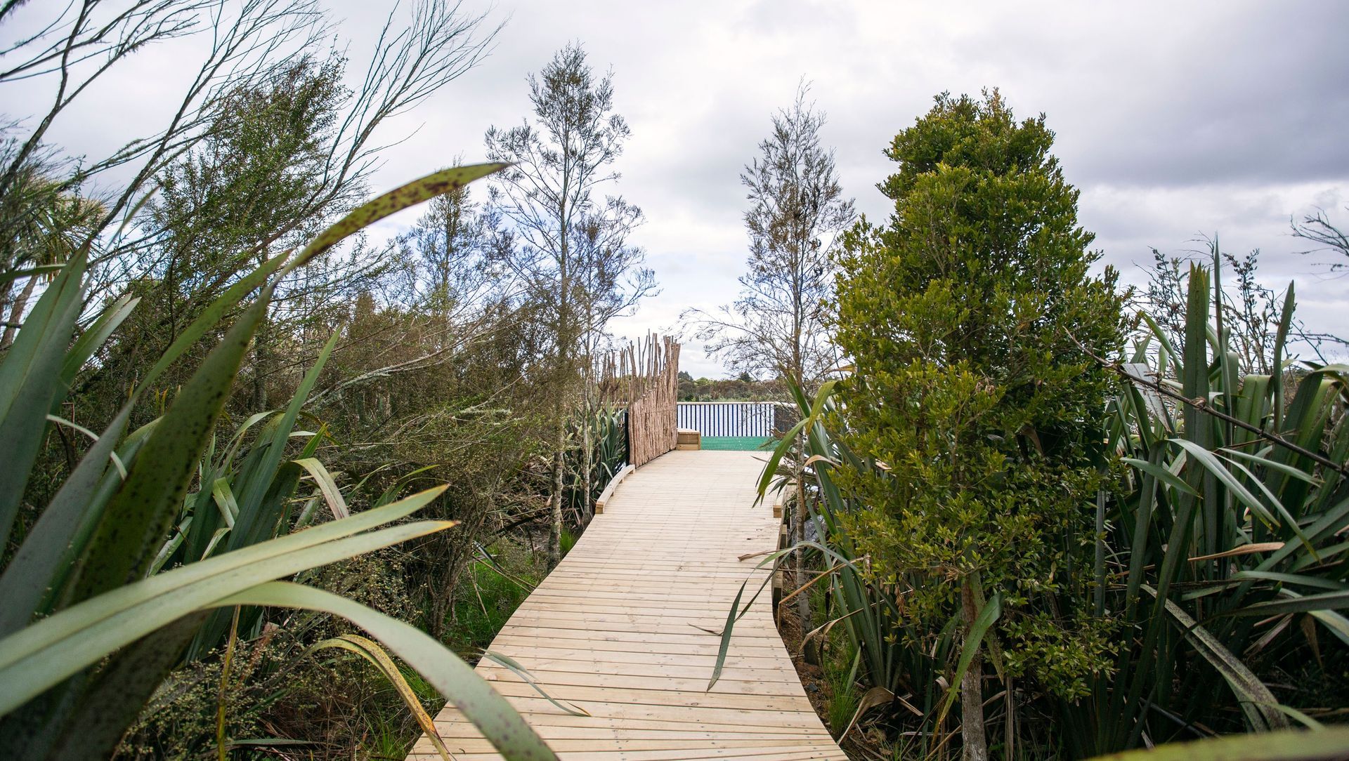 Waiwhakareke Natural Heritage Park banner