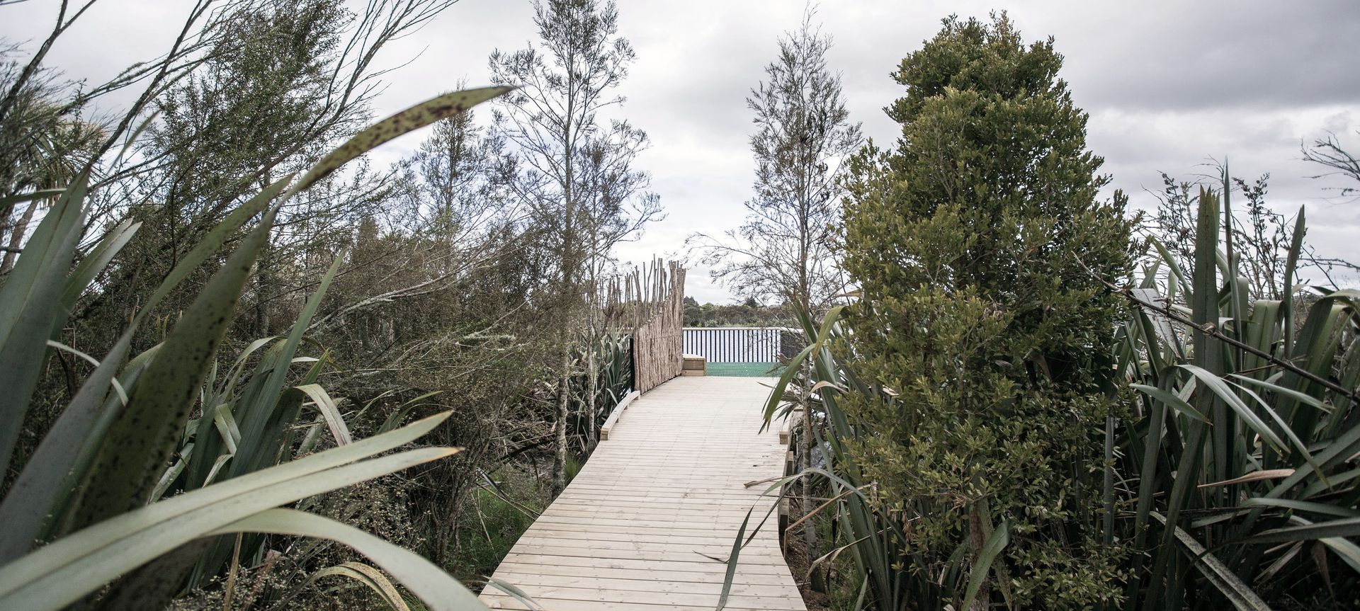 Waiwhakareke Natural Heritage Park banner