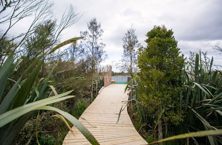 Waiwhakareke Natural Heritage Park