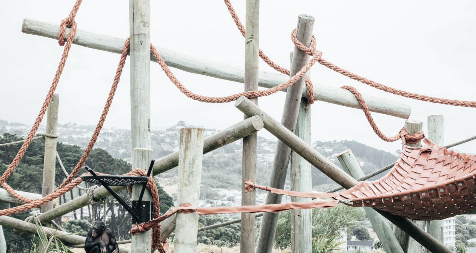 Wellington Zoo Chimps Enclosure banner