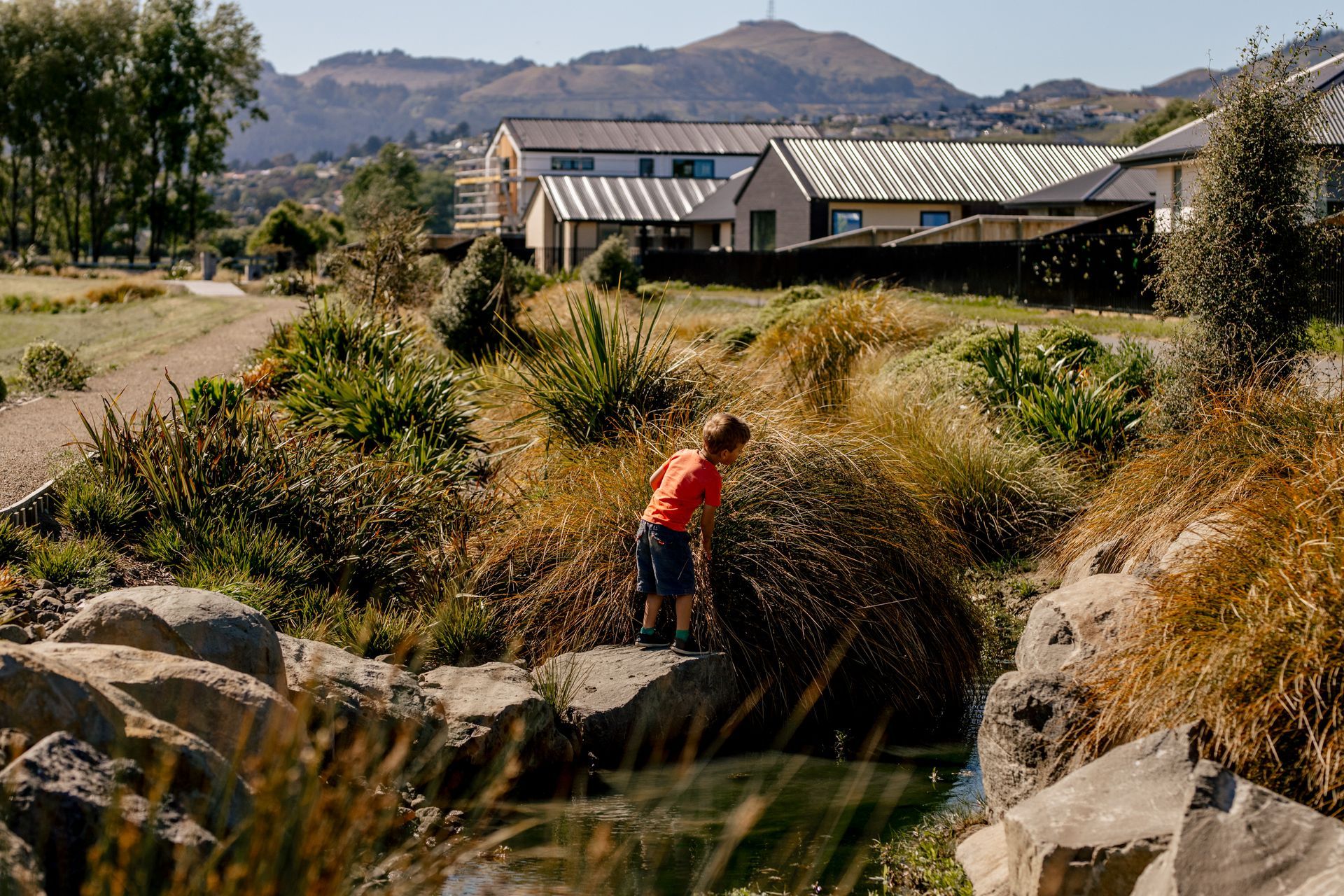 Milns Park Residential Subdivision