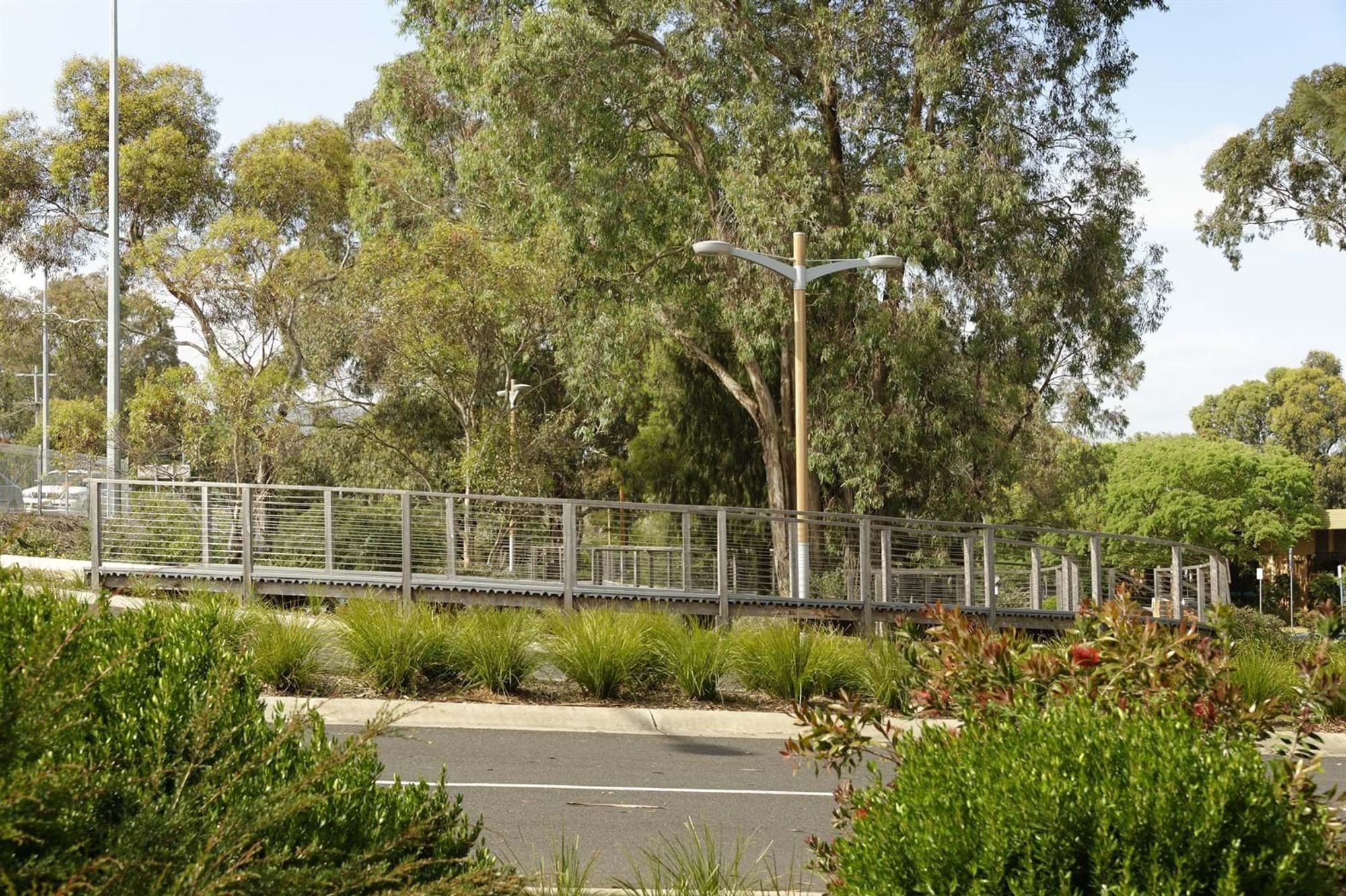 Lilydale Landscape