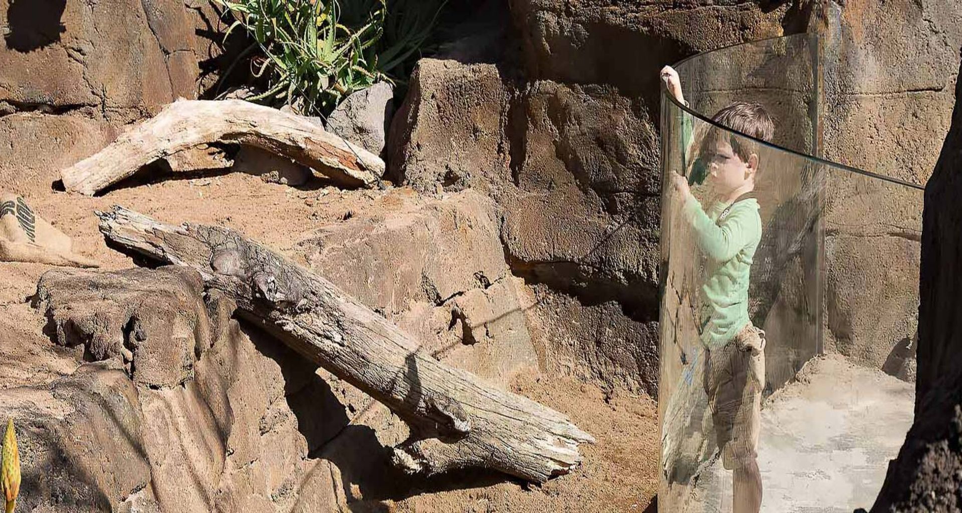 Auckland Zoo – Commercial Bent Glass banner