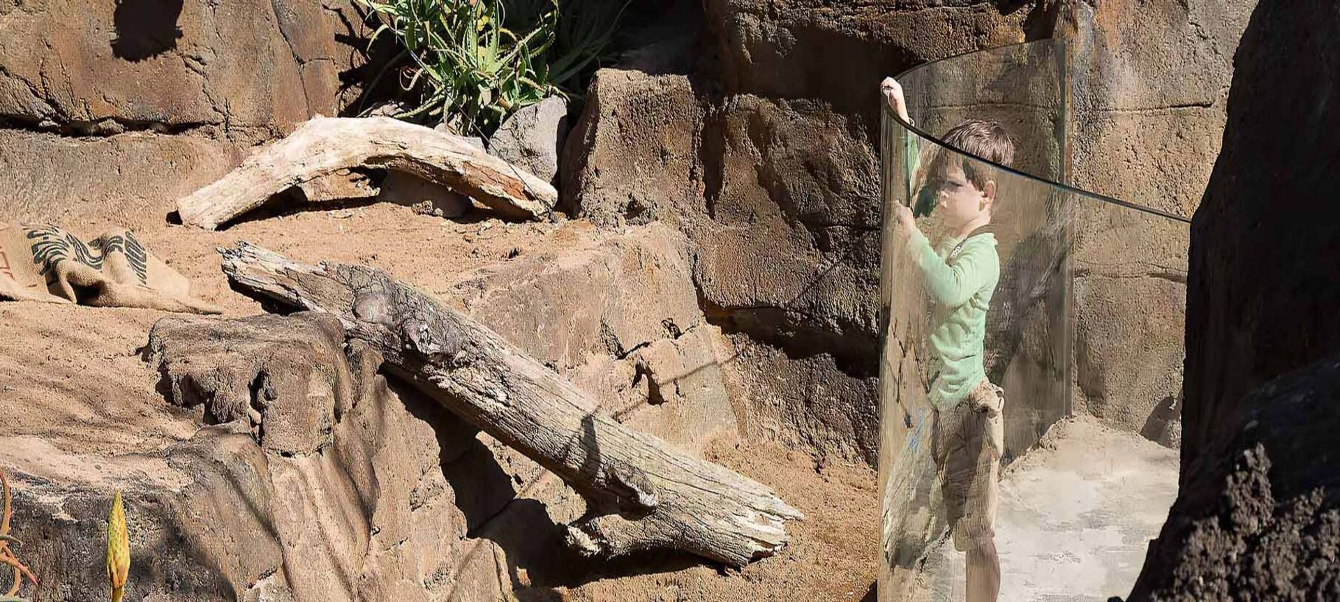 Auckland Zoo – Commercial Bent Glass banner