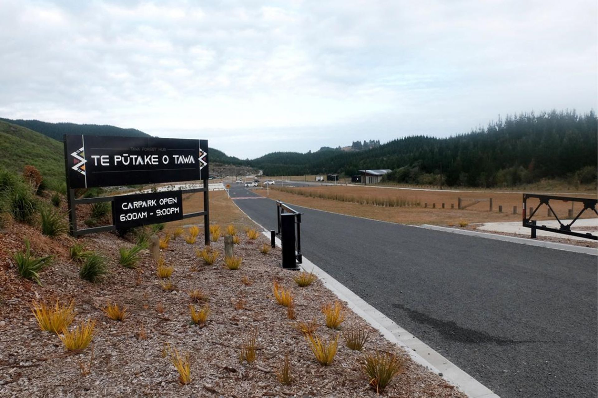 Te Pūtake o Tawa Forest Hub | Rotorua