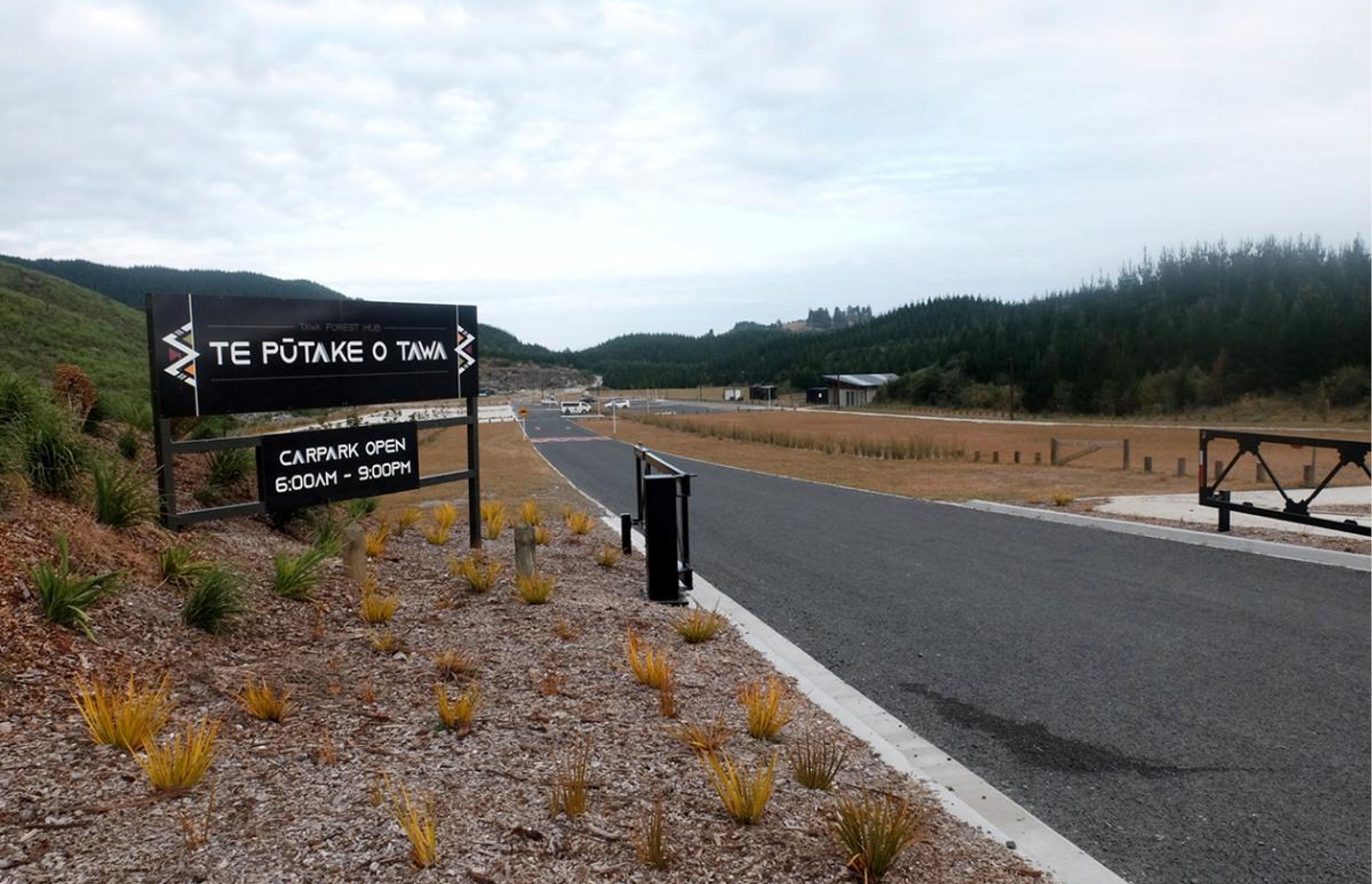 Te Pūtake o Tawa Forest Hub | Rotorua